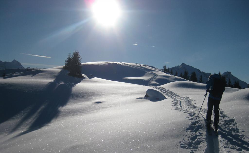 Pension Steiermark Schladming Dış mekan fotoğraf