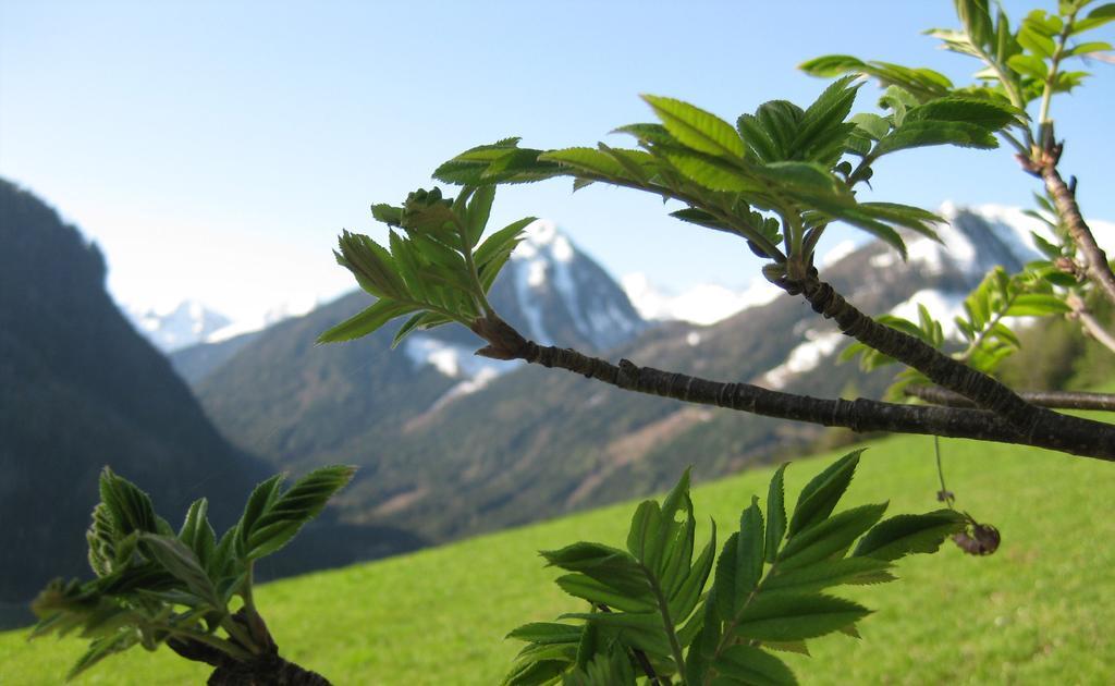 Pension Steiermark Schladming Dış mekan fotoğraf
